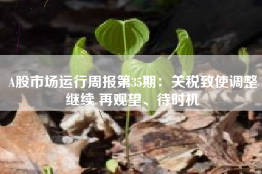 A股市场运行周报第35期：关税致使调整继续 再观望、待时机