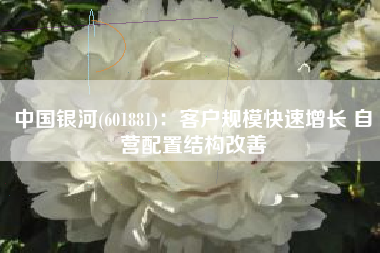 中国银河(601881)：客户规模快速增长 自营配置结构改善