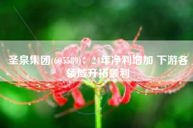 圣泉集团(605589)：24年净利增加 下游各领域开拓顺利