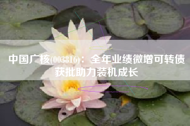中国广核(003816)：全年业绩微增可转债获批助力装机成长