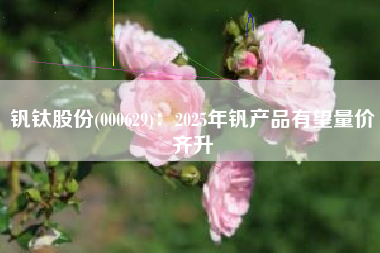 钒钛股份(000629)：2025年钒产品有望量价齐升
