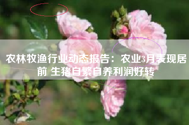 农林牧渔行业动态报告：农业3月表现居前 生猪自繁自养利润好转