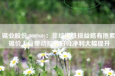 锡业股份(000960)：非经常性损益略有拖累 锡价上行带动扣非归母净利大幅提升