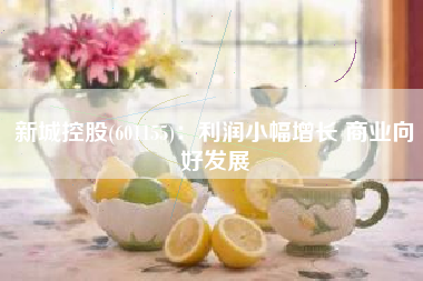 新城控股(601155)：利润小幅增长 商业向好发展