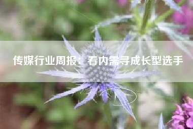 传媒行业周报：看内需寻成长型选手