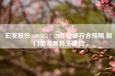 宏发股份(600885)：24年业绩符合预期 新门类发展势头强劲