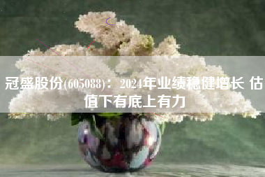 冠盛股份(605088)：2024年业绩稳健增长 估值下有底上有力
