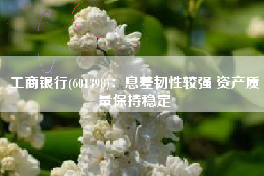 工商银行(601398)：息差韧性较强 资产质量保持稳定