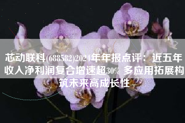 芯动联科(688582)2024年年报点评：近五年收入净利润复合增速超30% 多应用拓展构筑未来高成长性