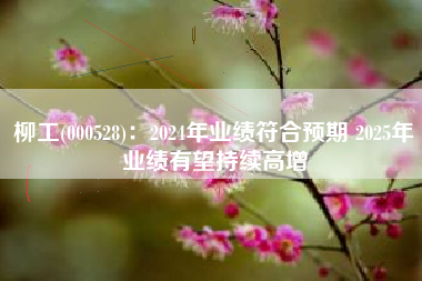 柳工(000528)：2024年业绩符合预期 2025年业绩有望持续高增