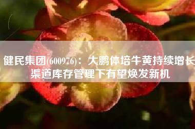 健民集团(600976)：大鹏体培牛黄持续增长 渠道库存管理下有望焕发新机