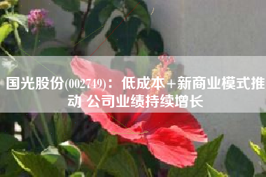 国光股份(002749)：低成本+新商业模式推动 公司业绩持续增长