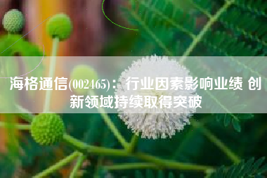 海格通信(002465)：行业因素影响业绩 创新领域持续取得突破