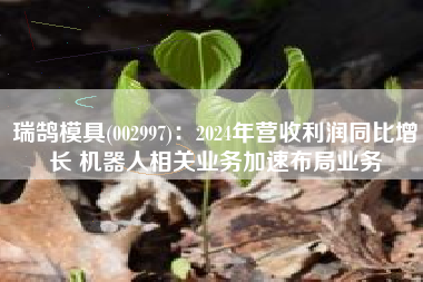 瑞鹄模具(002997)：2024年营收利润同比增长 机器人相关业务加速布局业务