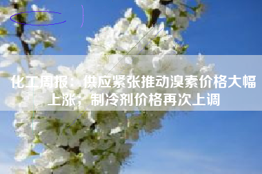 化工周报：供应紧张推动溴素价格大幅上涨；制冷剂价格再次上调