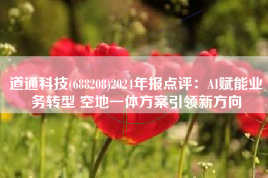 道通科技(688208)2024年报点评：AI赋能业务转型 空地一体方案引领新方向