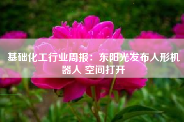 基础化工行业周报：东阳光发布人形机器人 空间打开