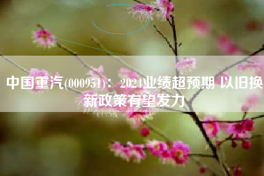 中国重汽(000951)：2024业绩超预期 以旧换新政策有望发力