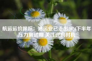 航运运价跟踪：油运业已走出2024下半年压力测试期 关注逆向时机