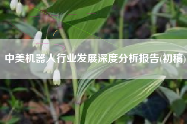 中美机器人行业发展深度分析报告(初稿)
