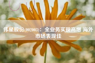 伟星股份(002003)：全业务实现高增 海外市场表现佳