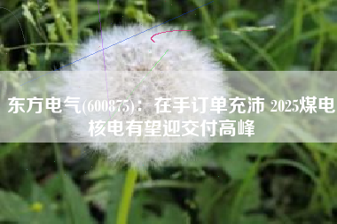 东方电气(600875)：在手订单充沛 2025煤电核电有望迎交付高峰
