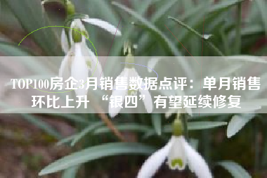 TOP100房企3月销售数据点评：单月销售环比上升 “银四”有望延续修复
