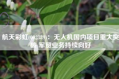 航天彩虹(002389)：无人机国内项目重大突破 军贸业务持续向好