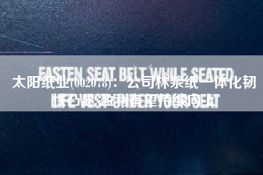 太阳纸业(002078)：公司林浆纸一体化韧性凸显 盈利有望持续向上