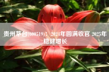 贵州茅台(600519)：2024年圆满收官 2025年稳健增长