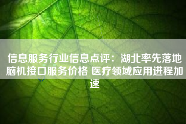 信息服务行业信息点评：湖北率先落地脑机接口服务价格 医疗领域应用进程加速