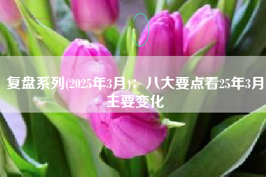复盘系列(2025年3月)：八大要点看25年3月主要变化