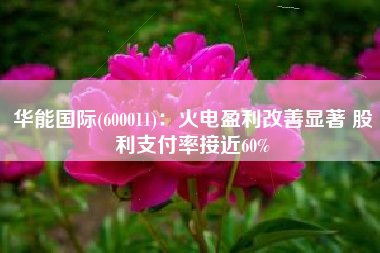 华能国际(600011)：火电盈利改善显著 股利支付率接近60%