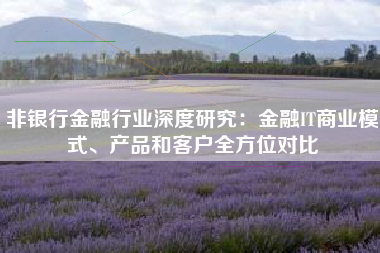非银行金融行业深度研究：金融IT商业模式、产品和客户全方位对比