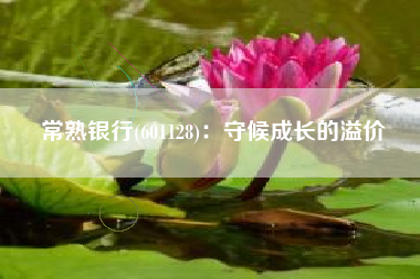 常熟银行(601128)：守候成长的溢价