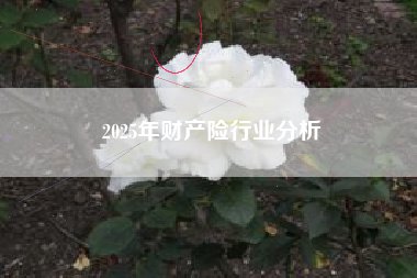 2025年财产险行业分析