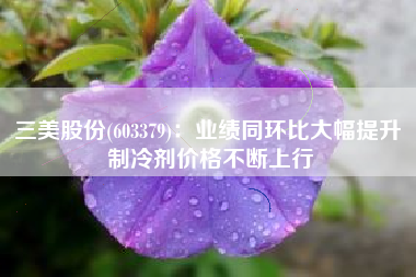 三美股份(603379)：业绩同环比大幅提升 制冷剂价格不断上行