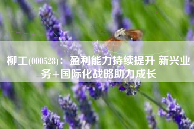 柳工(000528)：盈利能力持续提升 新兴业务+国际化战略助力成长