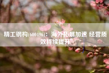 精工钢构(600496)：海外拓展加速 经营质效持续提升