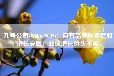 九号公司-WD(689009)：自有品牌业务营收增长亮眼；业绩增长势头不减