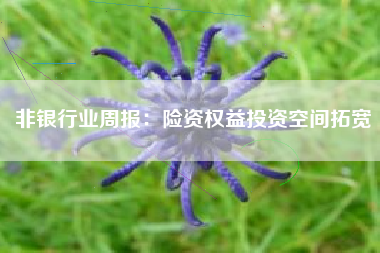 非银行业周报：险资权益投资空间拓宽