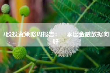 A股投资策略周报告：一季度金融数据向好