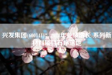 兴发集团(600141)：2024年业绩增长 系列新材料项目有序落地