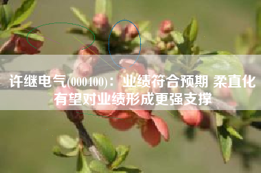 许继电气(000400)：业绩符合预期 柔直化有望对业绩形成更强支撑