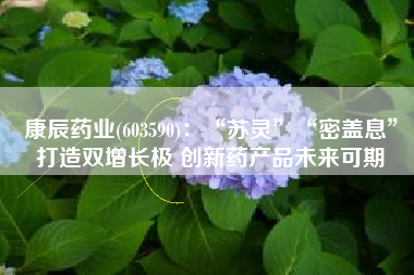 康辰药业(603590)：“苏灵”“密盖息”打造双增长极 创新药产品未来可期