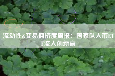 流动性&交易拥挤度周报：国家队入市ETF流入创新高