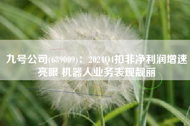 九号公司(689009)：2024Q4扣非净利润增速亮眼 机器人业务表现靓丽