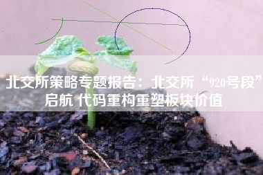 北交所策略专题报告：北交所“920号段”启航 代码重构重塑板块价值