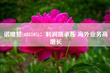 诺唯赞(688105)：利润端承压 海外业务高增长