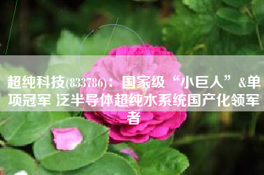 超纯科技(833786)：国家级“小巨人”&单项冠军 泛半导体超纯水系统国产化领军者
